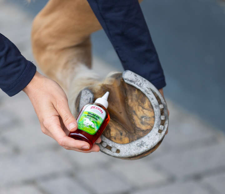 ZEDAN Strahl-Fit Intensiv 100 ml